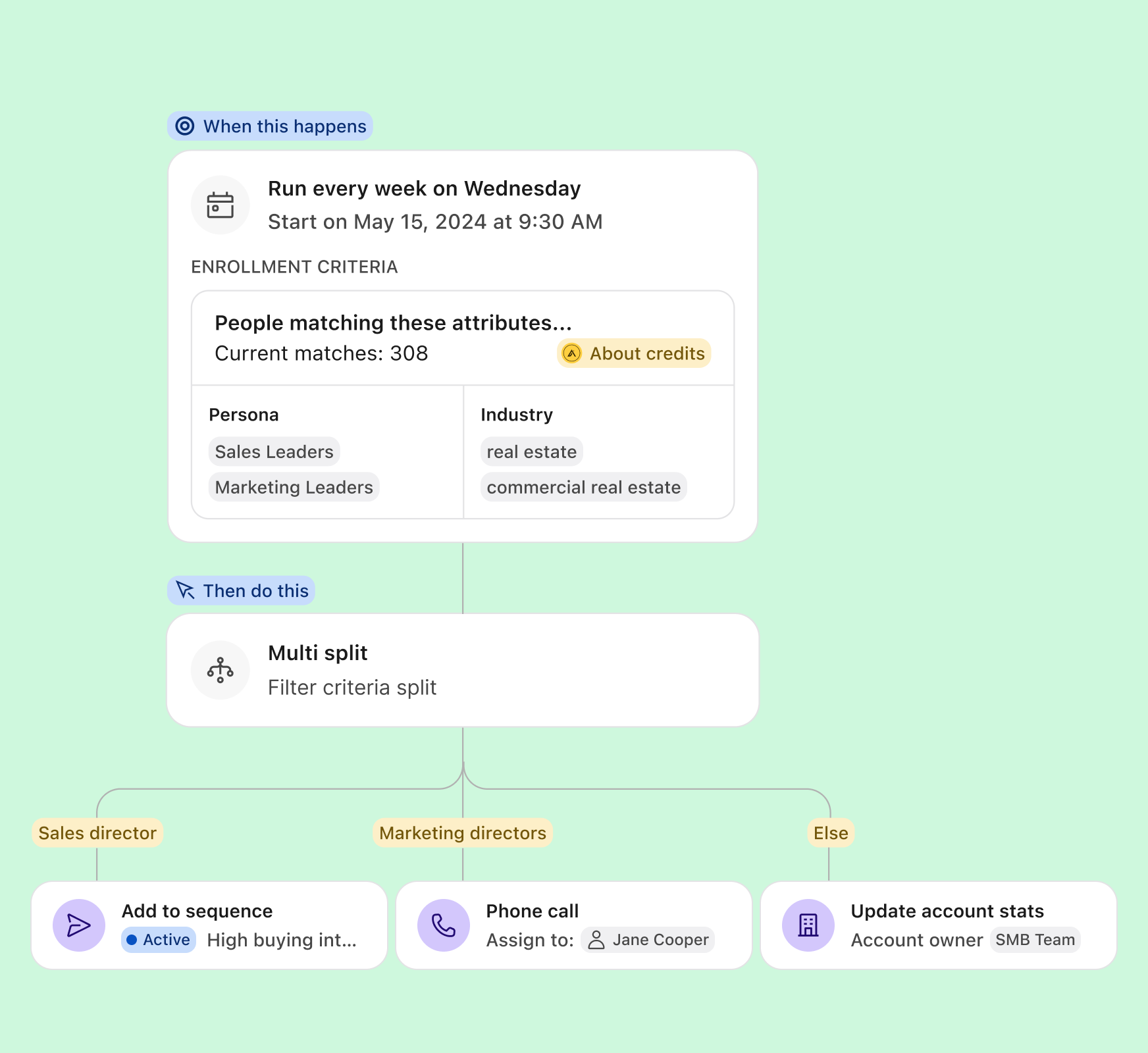 Whole funnel automation feature detailed view